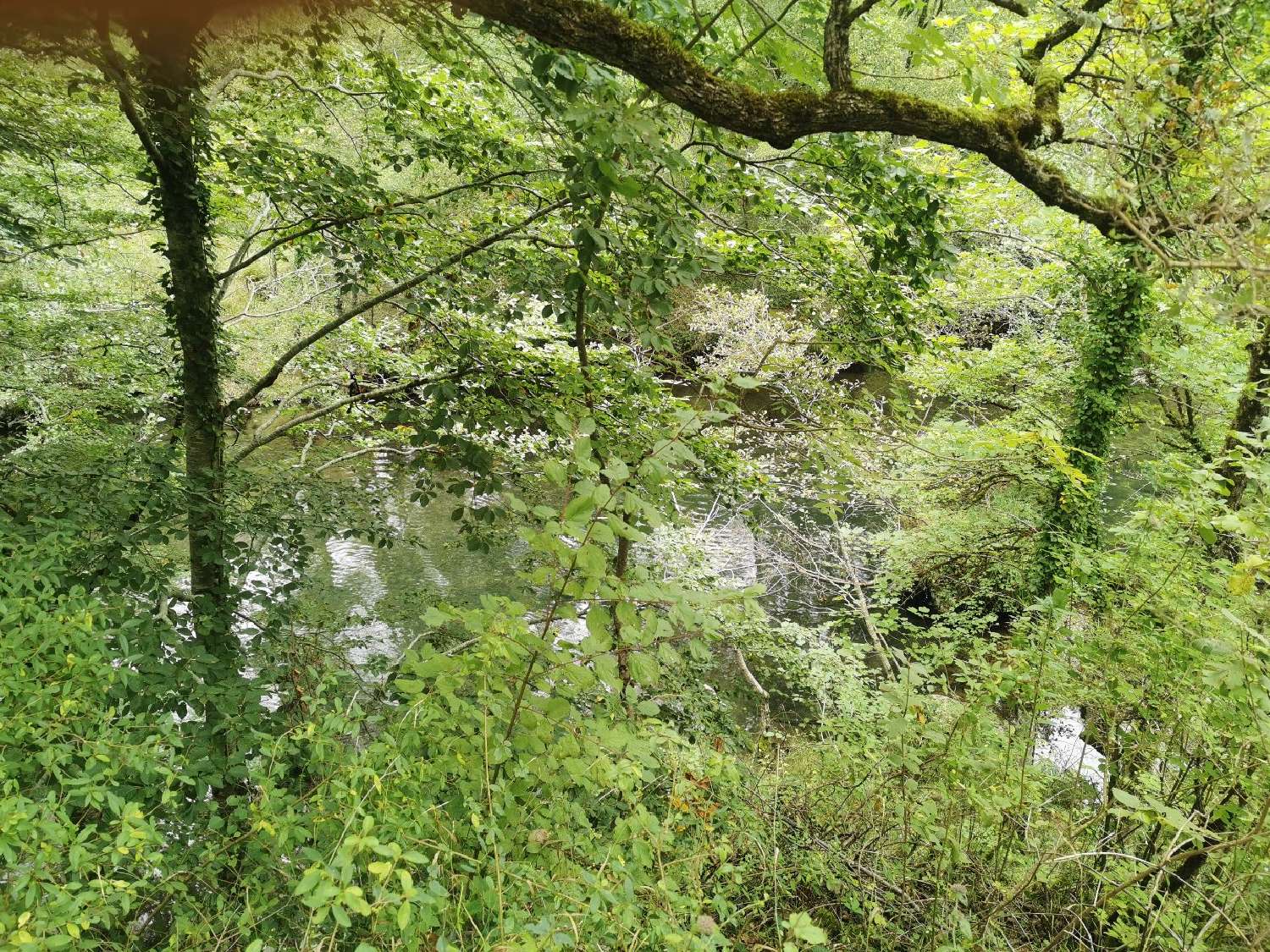  kaufen Grundstück Peyreleau Aveyron 5