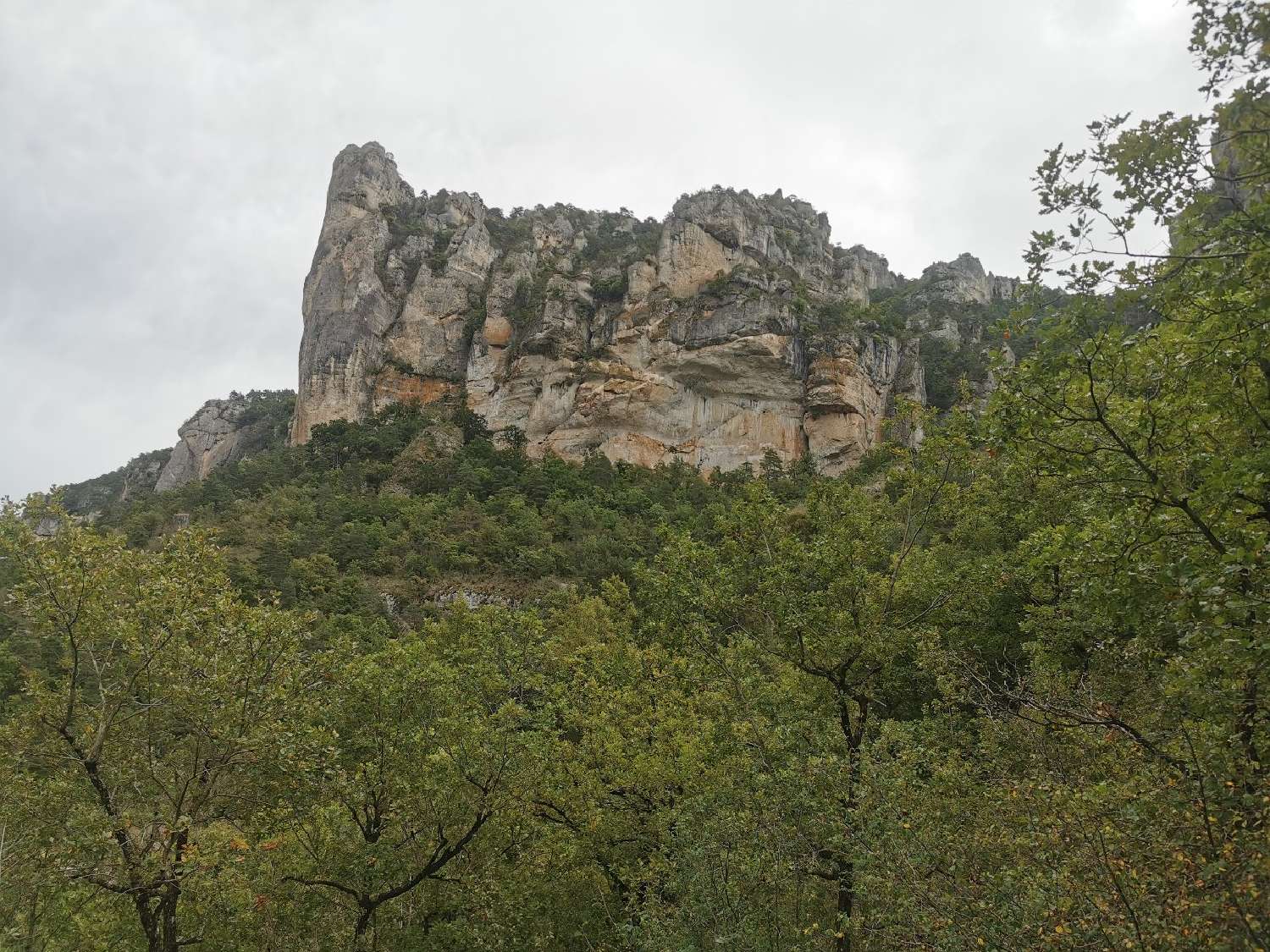  kaufen Grundstück Peyreleau Aveyron 7