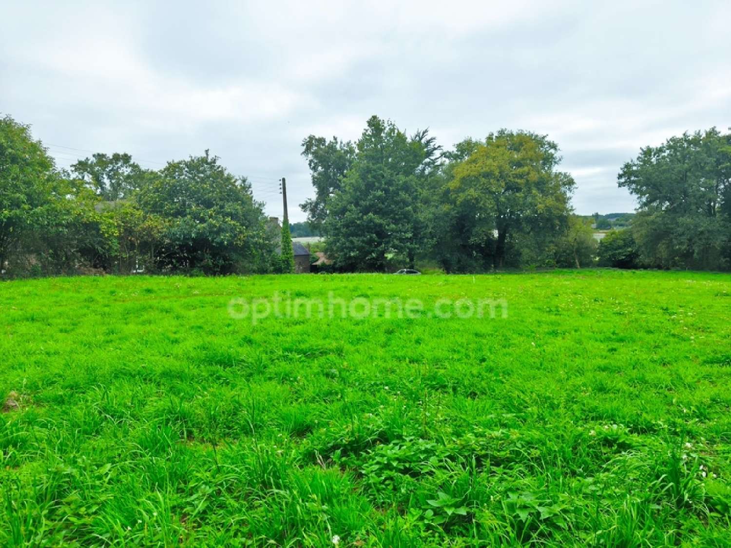  te koop terrein Pipriac Ille-et-Vilaine 1