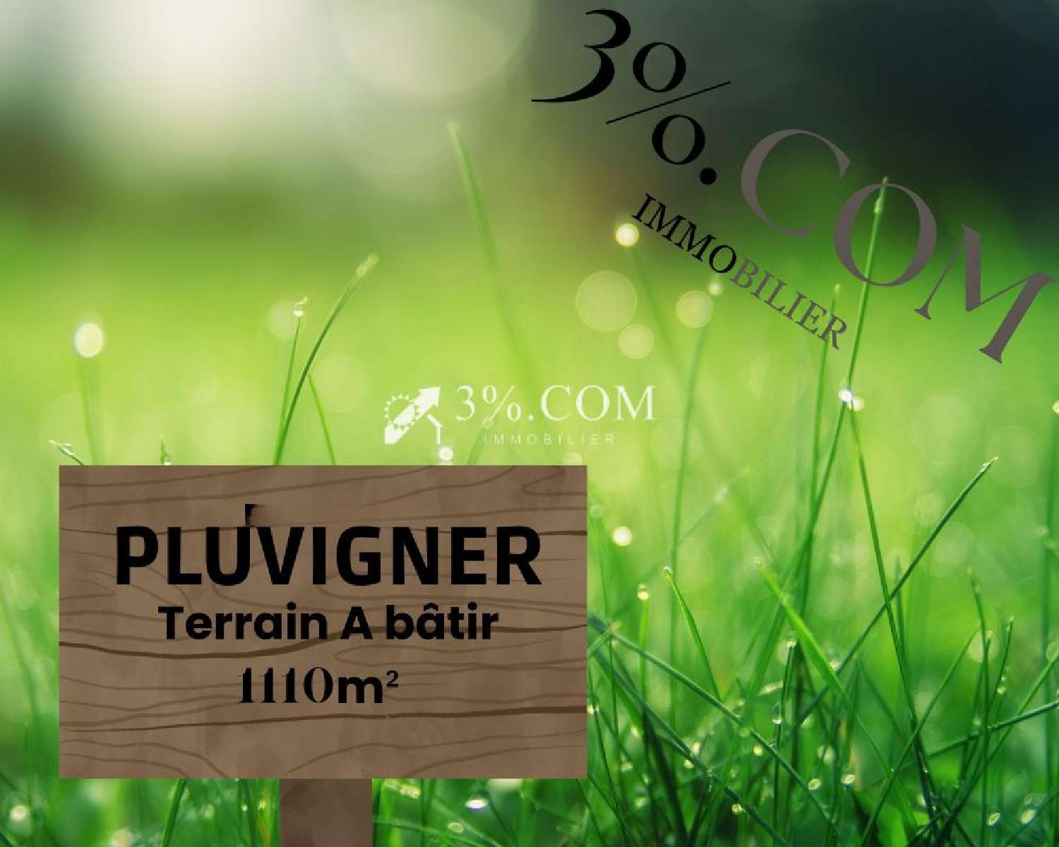  for sale terrain Pluvigner Morbihan 1