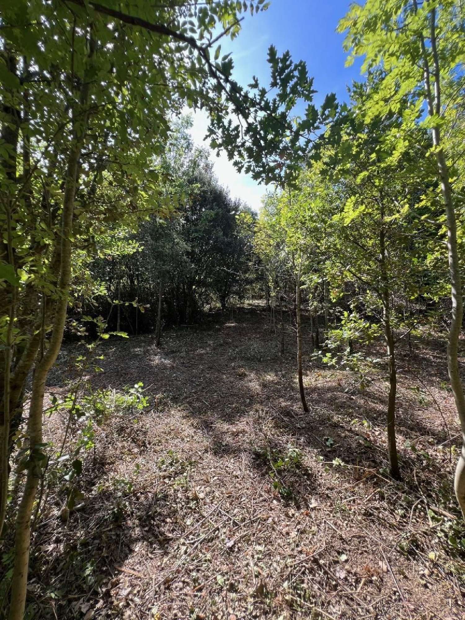 en venta terreno Prémian Hérault 1