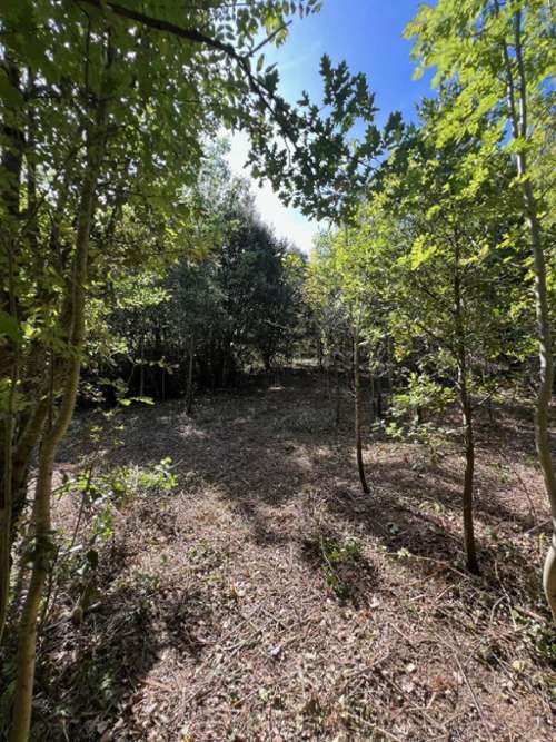 Prémian Hérault terreno foto 7160856