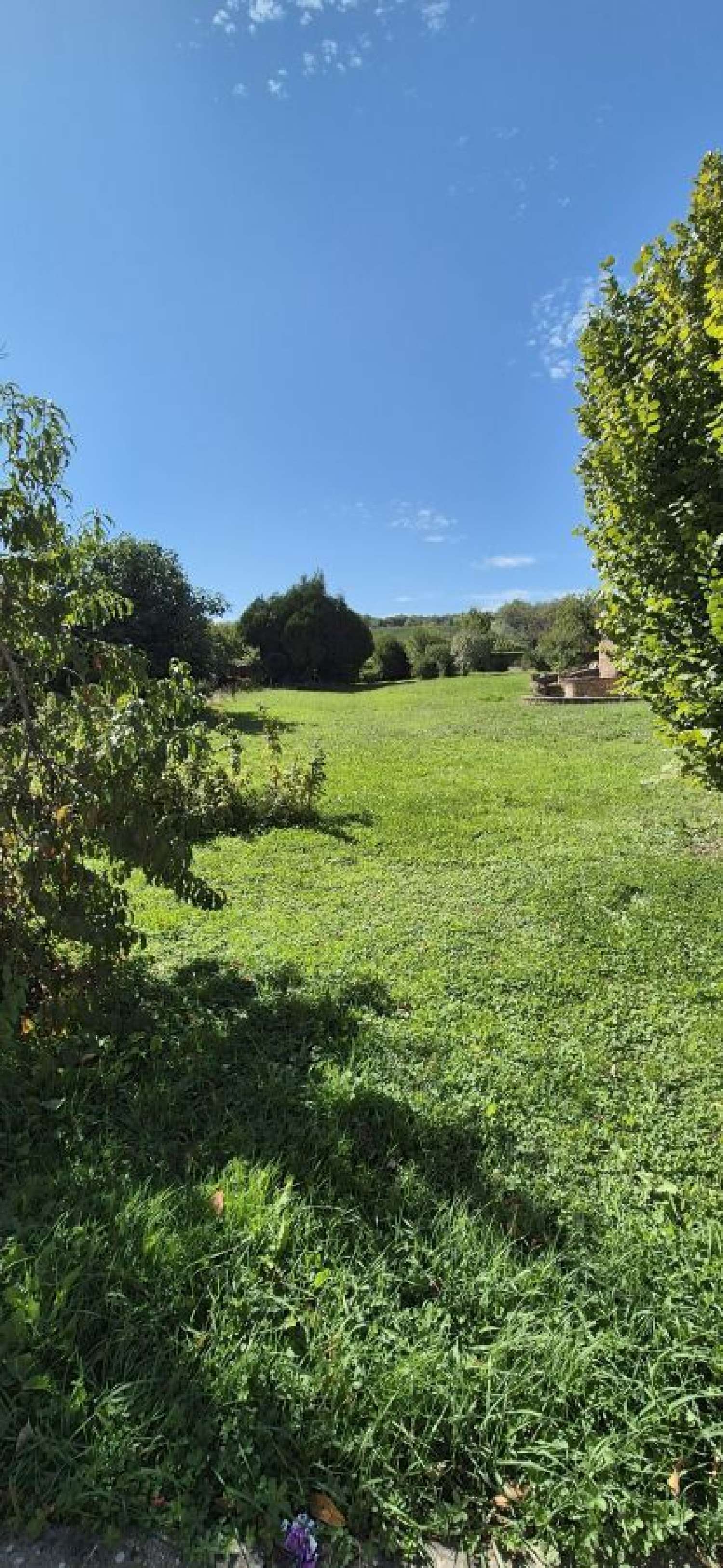 for sale terrain Prissé Saône-et-Loire 2