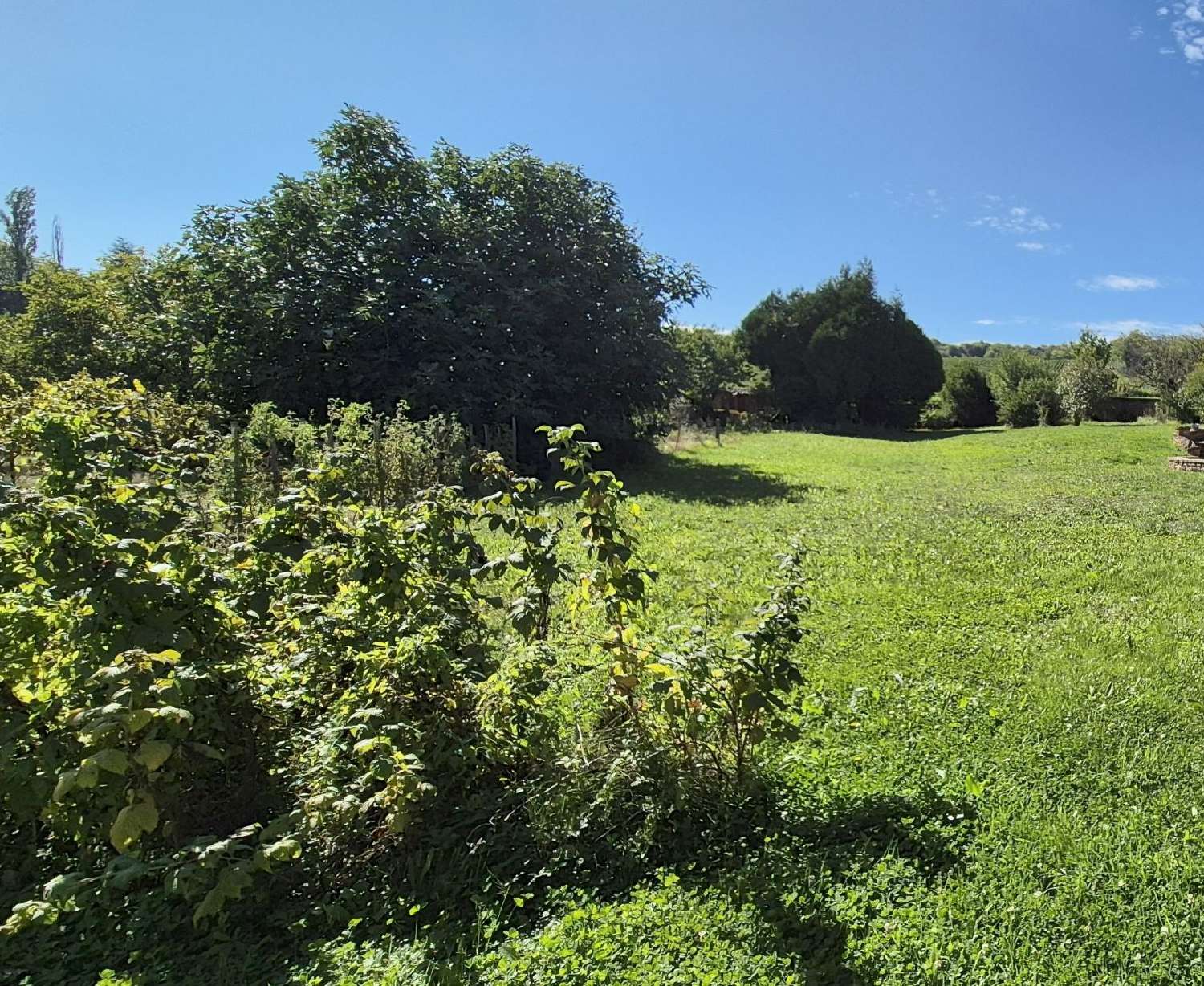  for sale terrain Prissé Saône-et-Loire 3