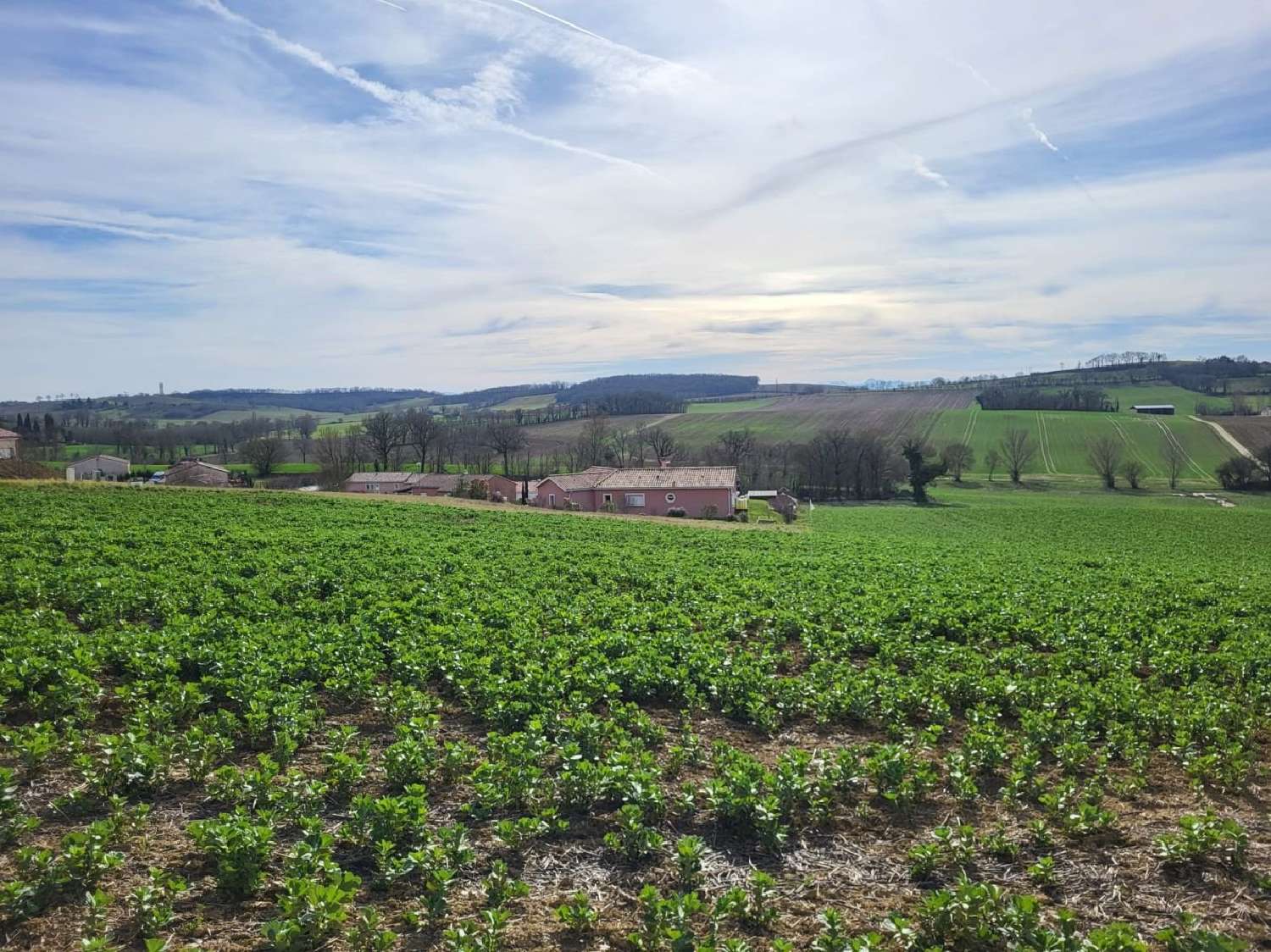 à vendre terrain Puycasquier Gers 1