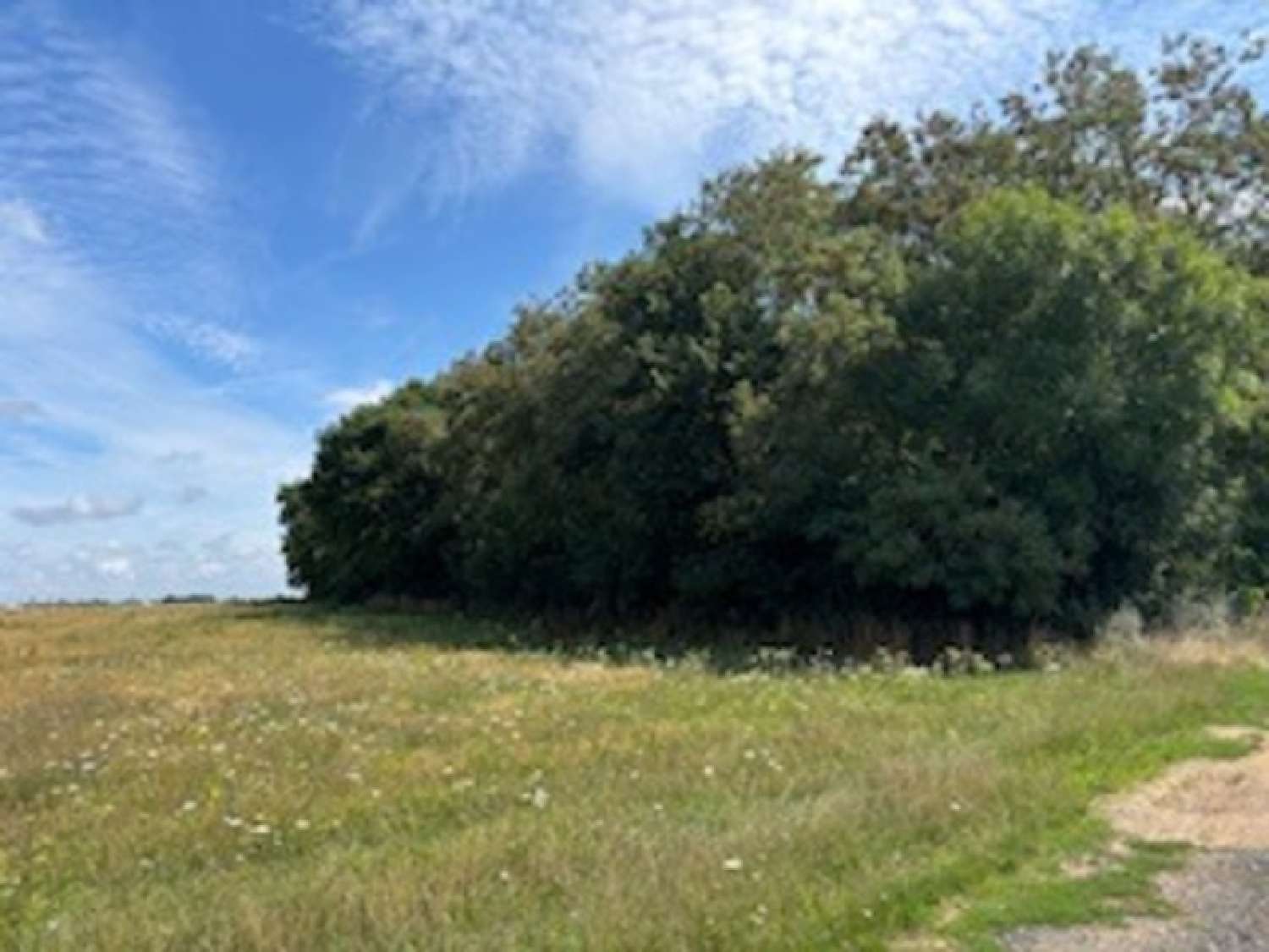  te koop terrein Saint-André-de-l'Eure Eure 2