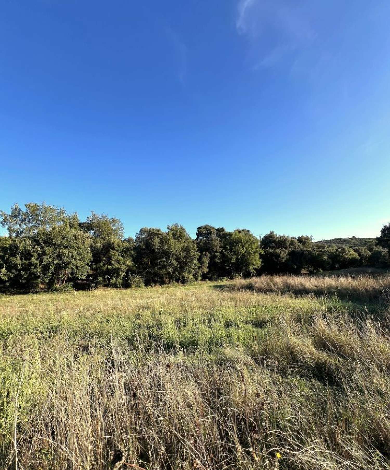  te koop terrein Saint-Bénézet Gard 1