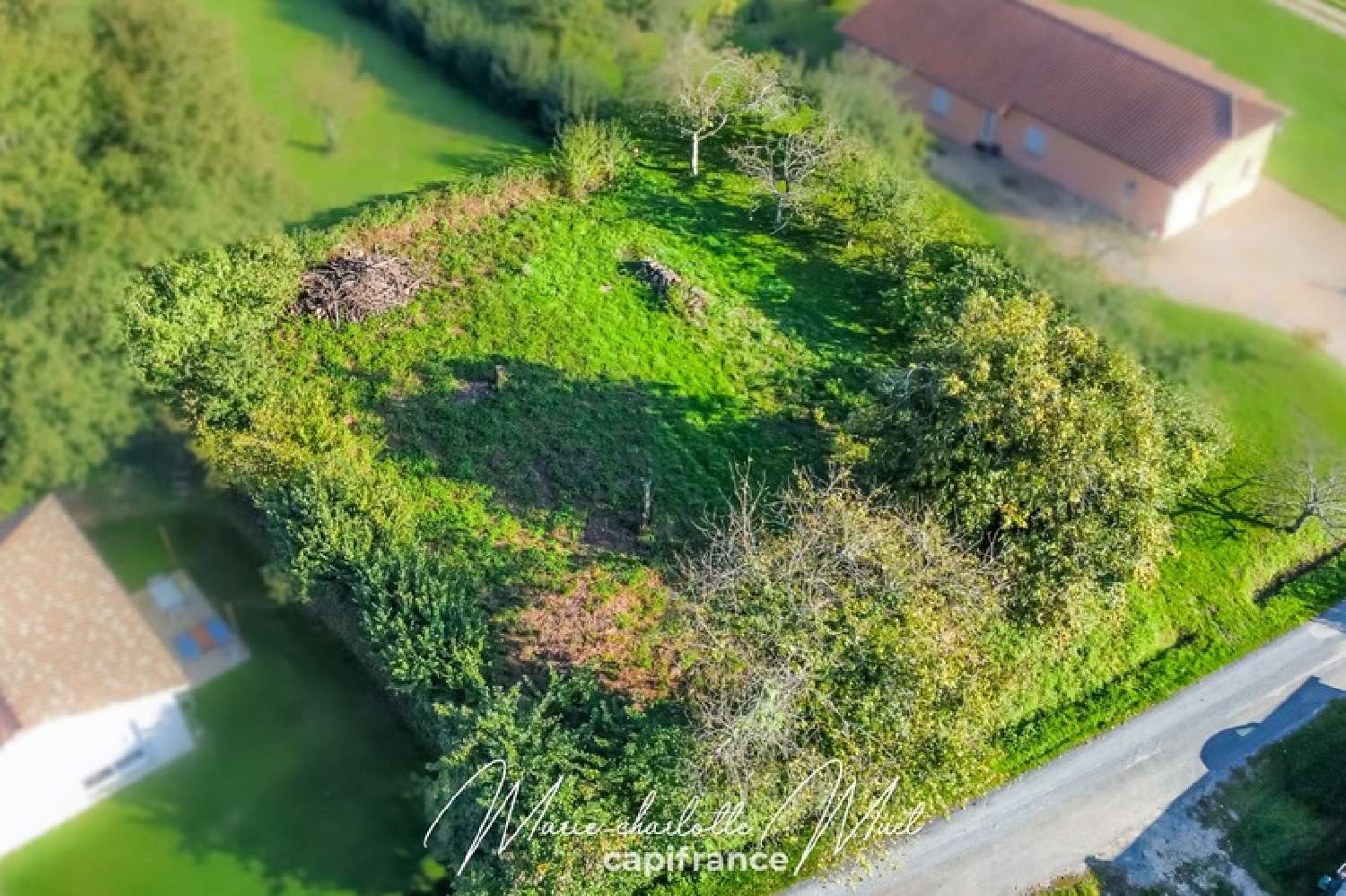  for sale terrain Saint-Bénigne Ain 4