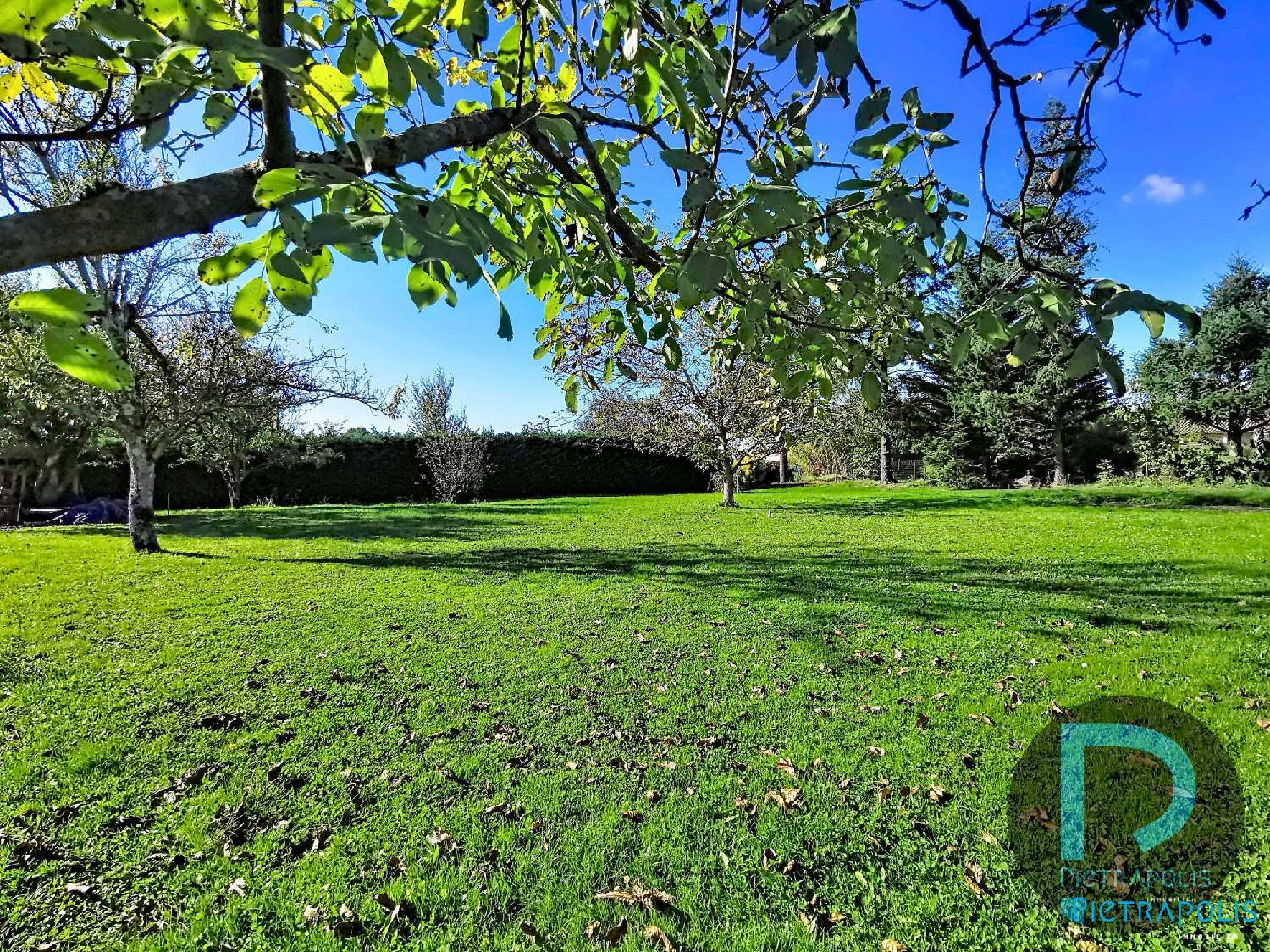  en venta terreno Saint-Cyr-sur-Menthon Ain 2