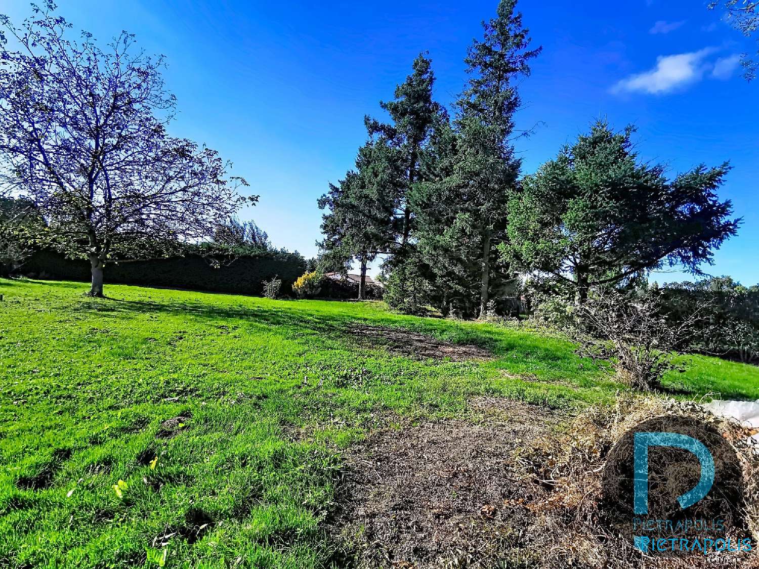  en venta terreno Saint-Cyr-sur-Menthon Ain 7