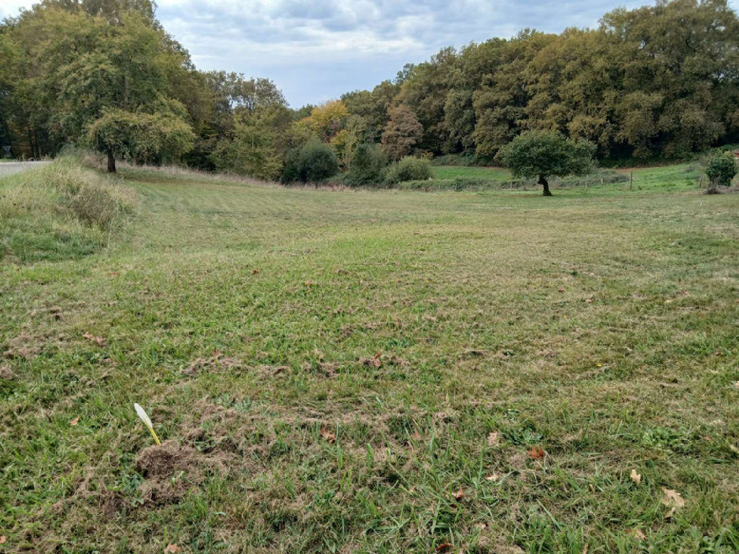  te koop terrein Saint-Genès-de-Lombaud Gironde 1