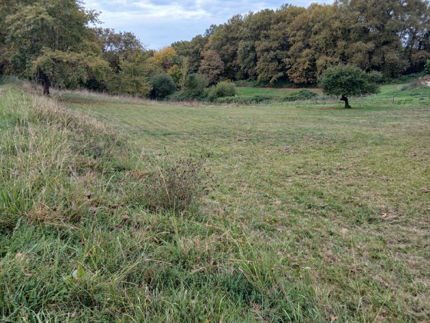  te koop terrein Saint-Genès-de-Lombaud Gironde 2
