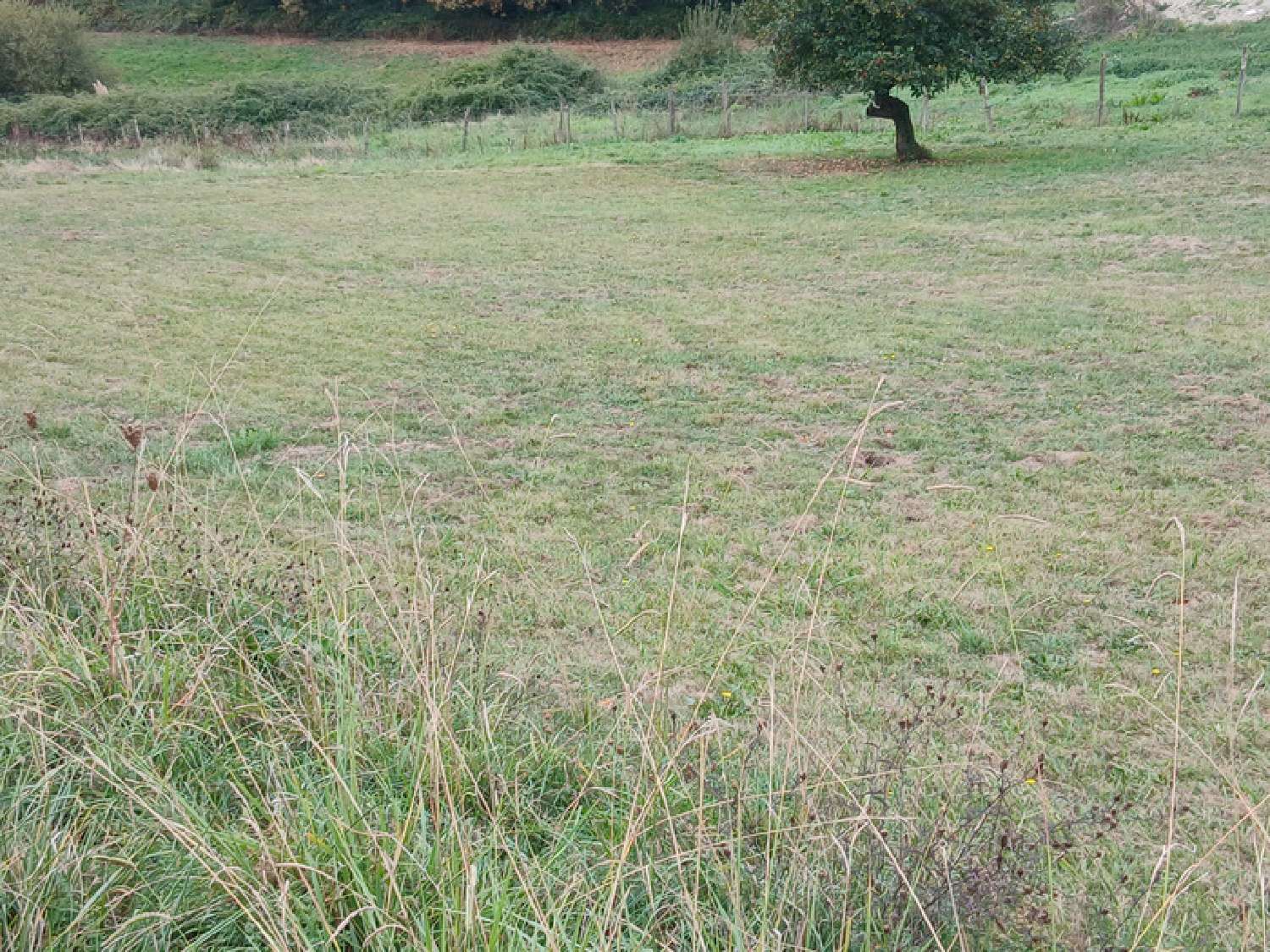  te koop terrein Saint-Genès-de-Lombaud Gironde 3