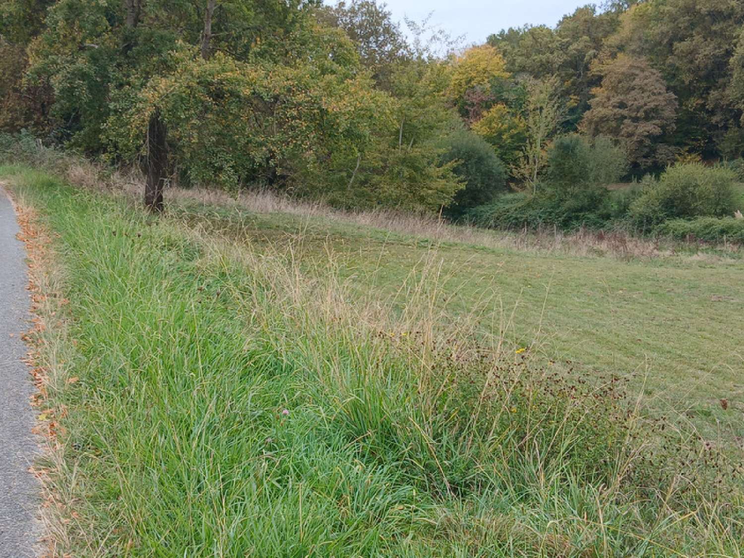  te koop terrein Saint-Genès-de-Lombaud Gironde 4