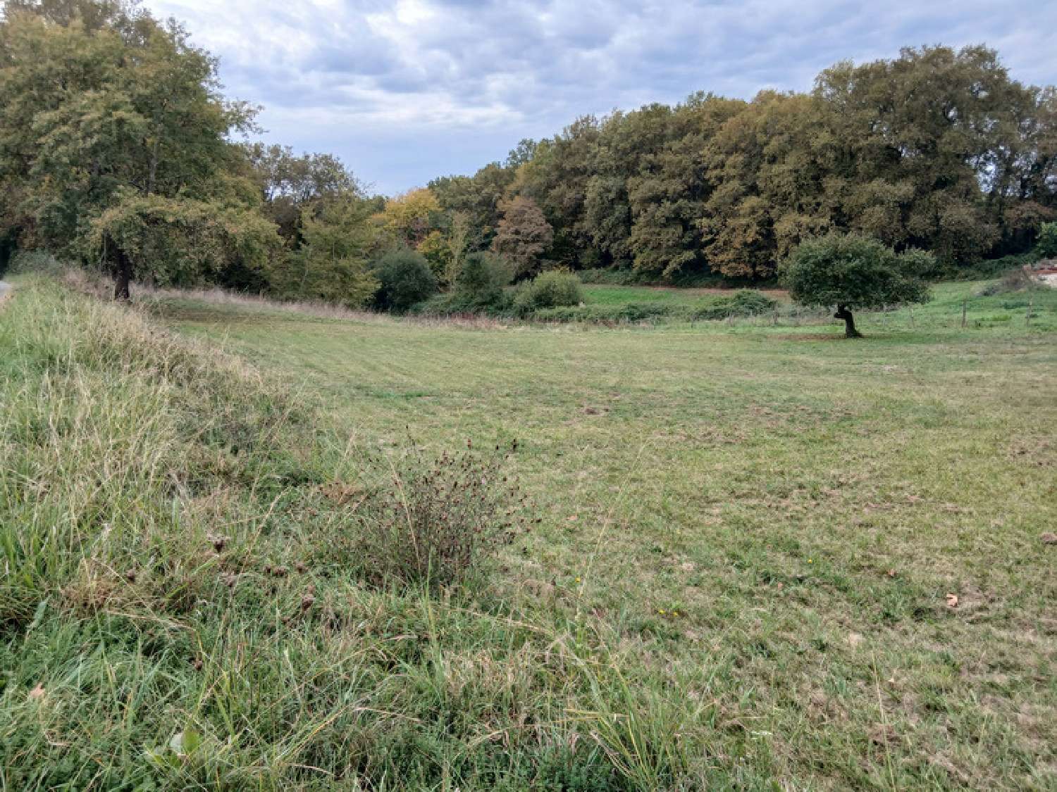  te koop terrein Saint-Genès-de-Lombaud Gironde 5