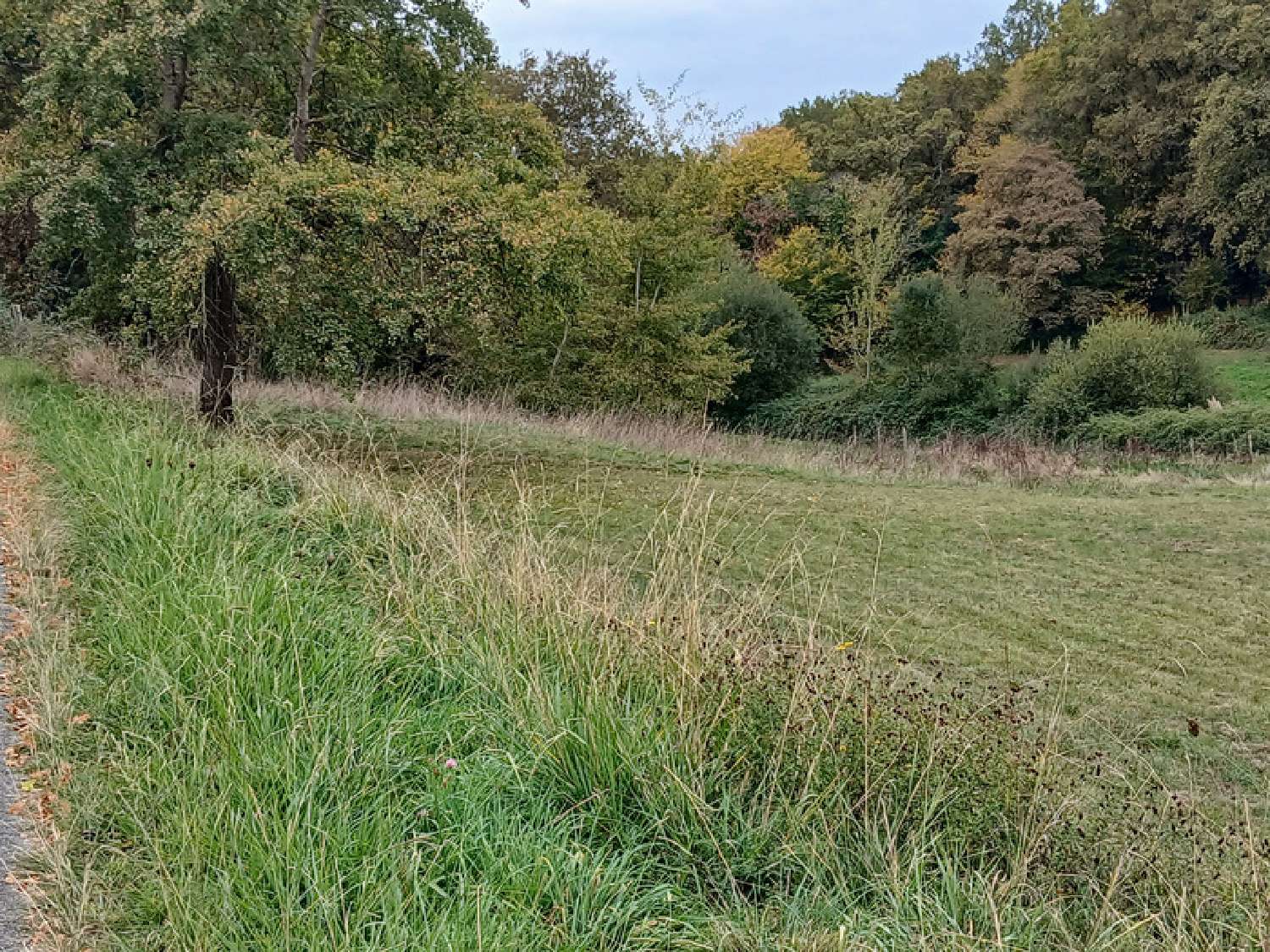  te koop terrein Saint-Genès-de-Lombaud Gironde 6