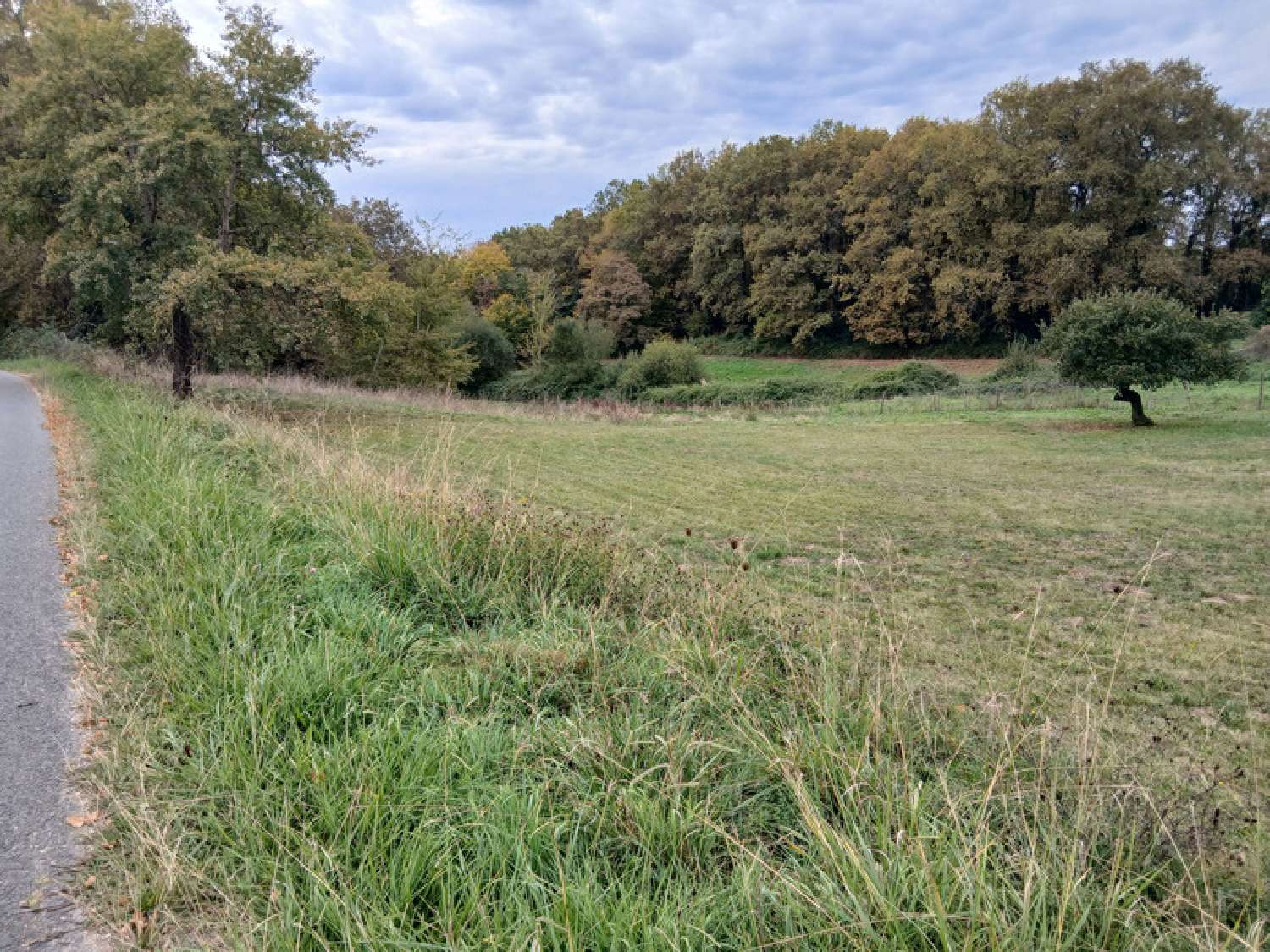  te koop terrein Saint-Genès-de-Lombaud Gironde 7