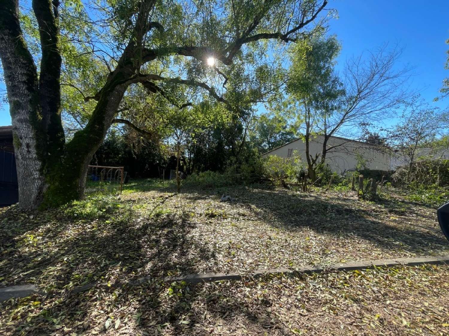 for sale terrain Saint-Georges-du-Bois Charente-Maritime 1