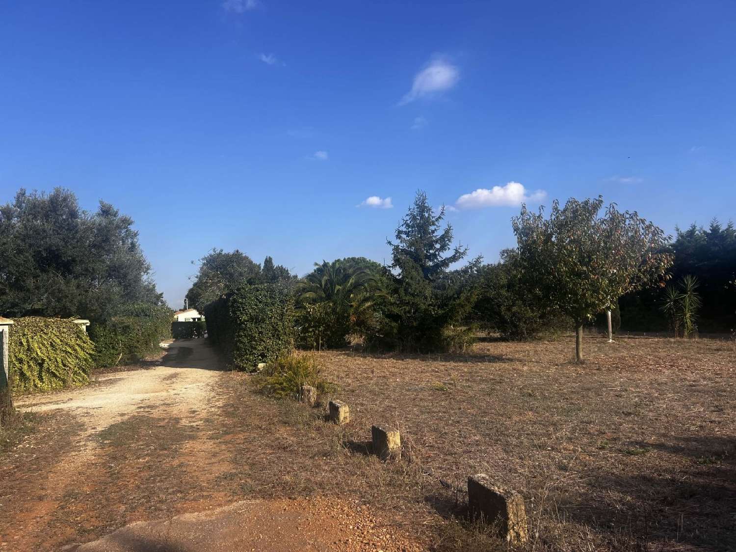  en venta terreno Saint-Gilles Gard 1
