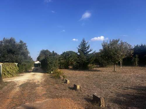 Saint-Gilles Gard terreno foto 7163907