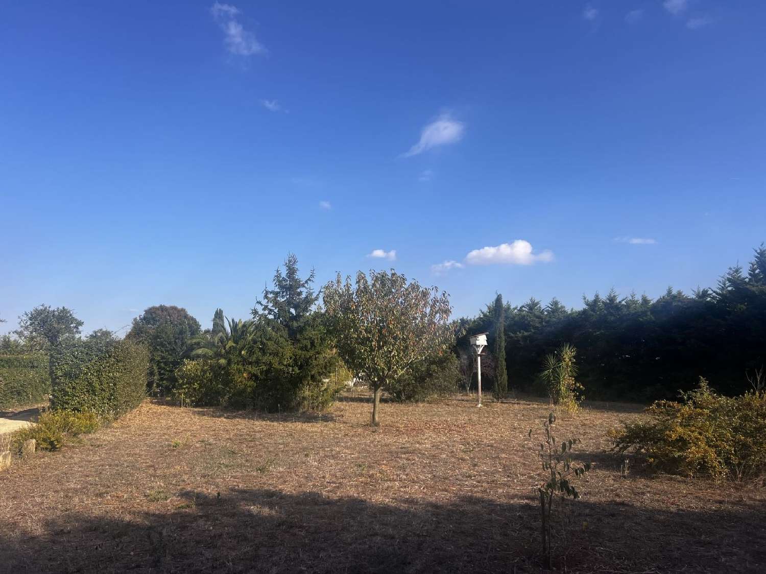 en venta terreno Saint-Gilles Gard 3