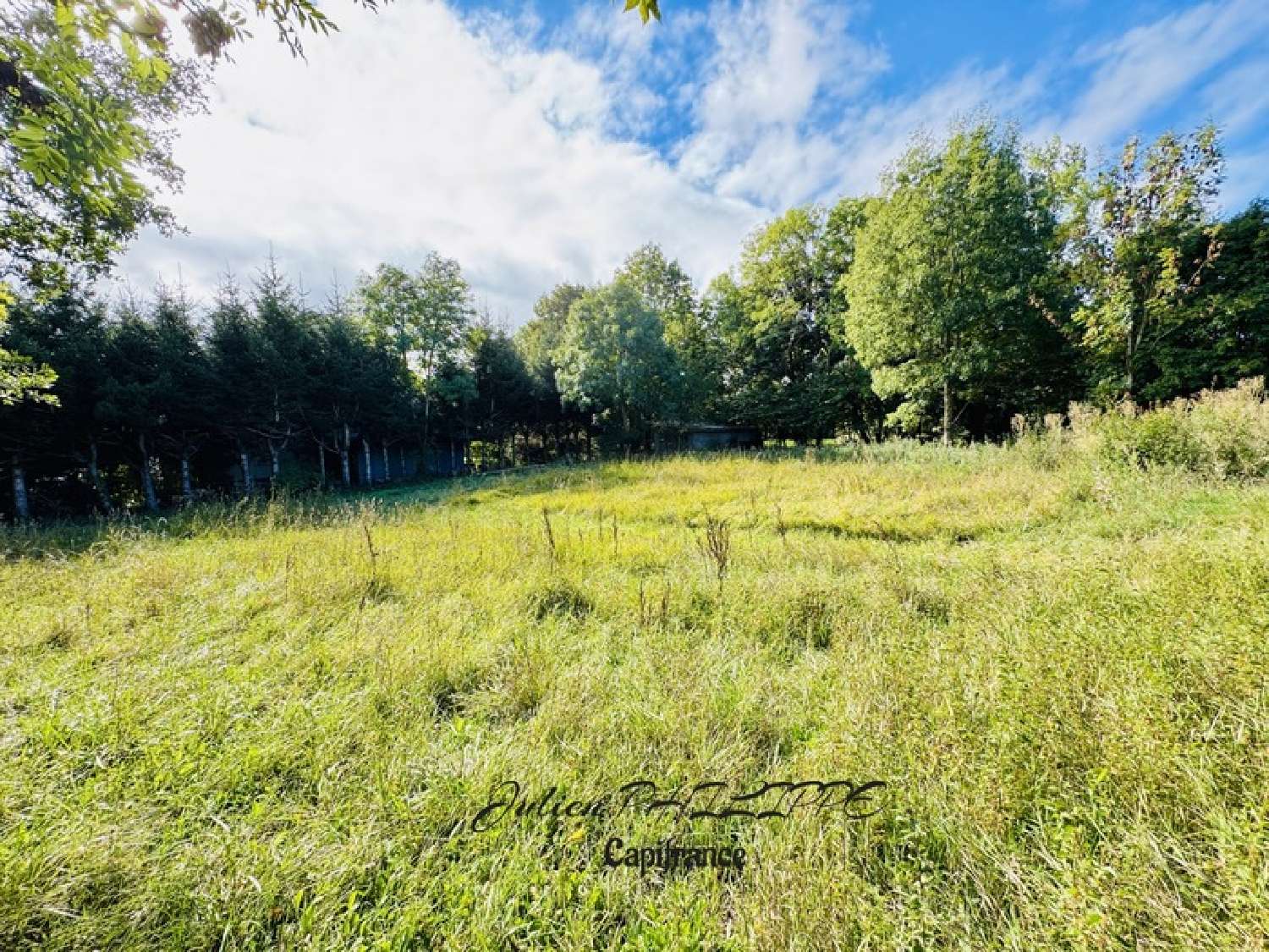  te koop terrein Saint-Julien-en-Champsaur Hautes-Alpes 2