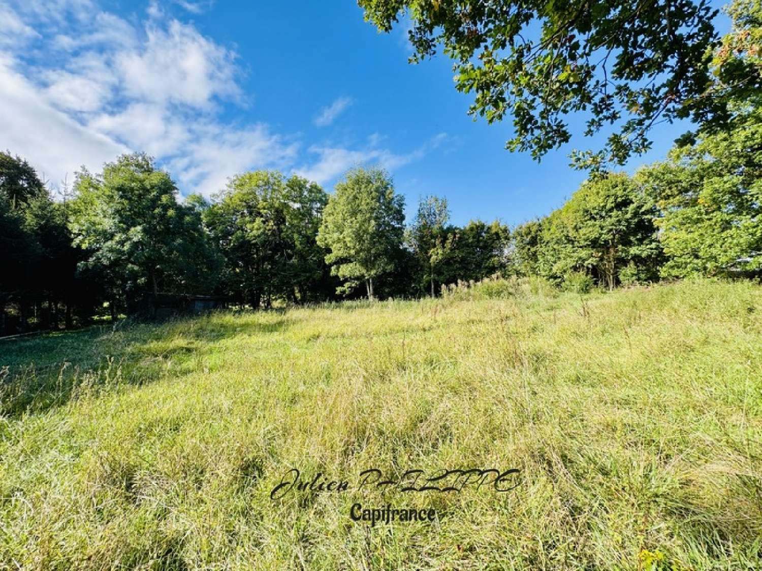  te koop terrein Saint-Julien-en-Champsaur Hautes-Alpes 3