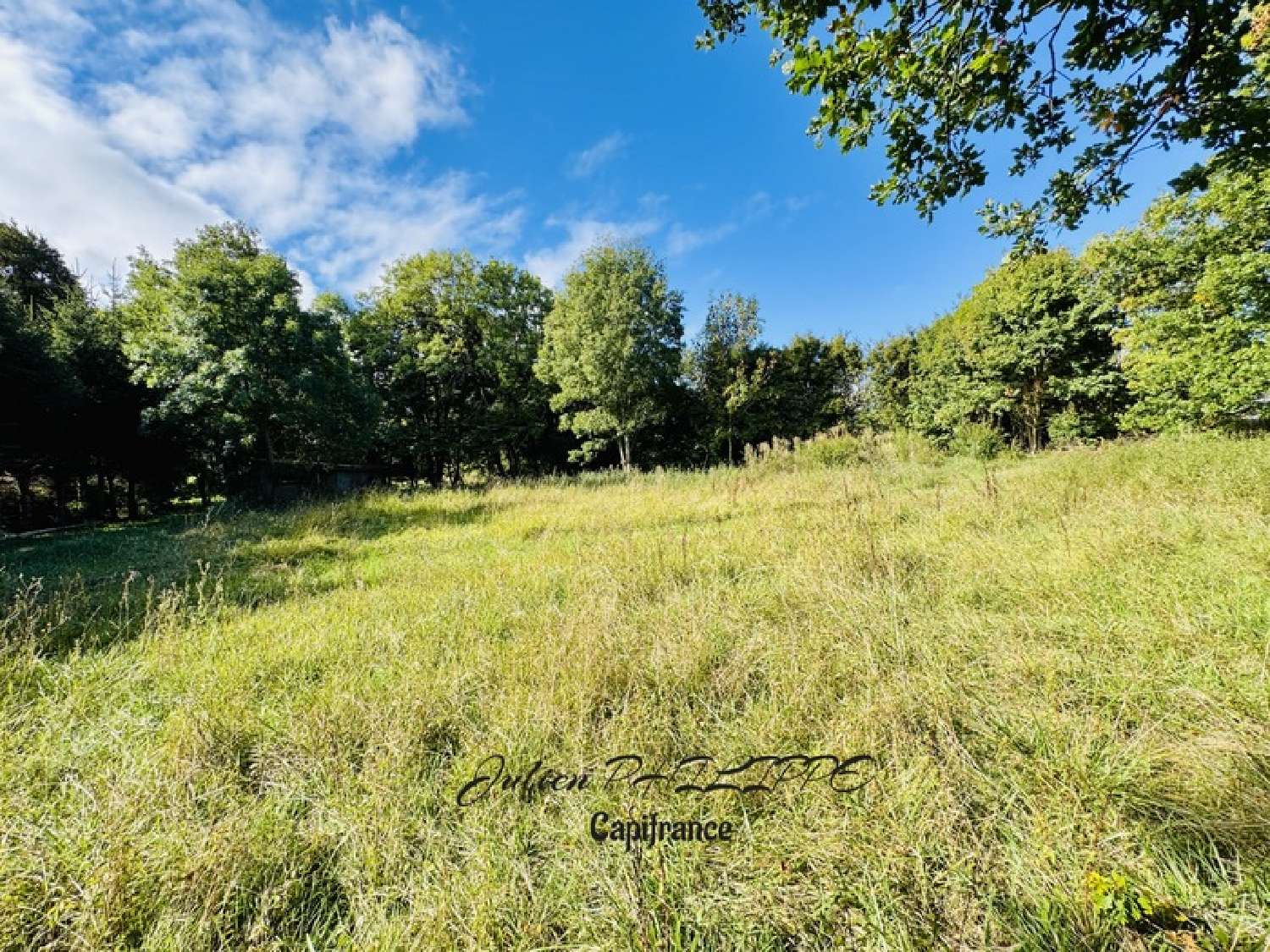  te koop terrein Saint-Julien-en-Champsaur Hautes-Alpes 4
