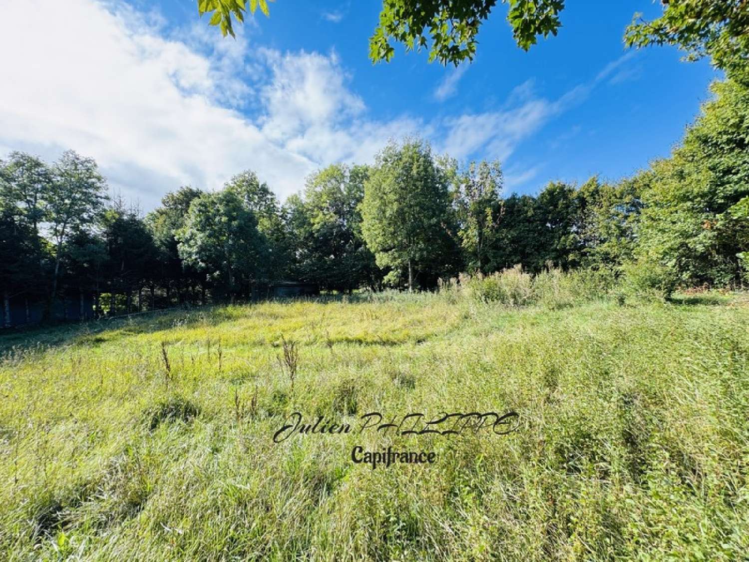  te koop terrein Saint-Julien-en-Champsaur Hautes-Alpes 5