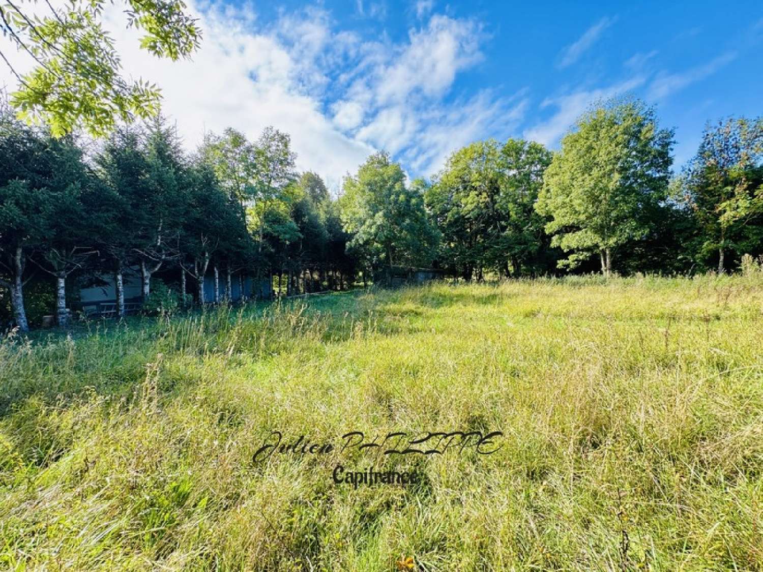  te koop terrein Saint-Julien-en-Champsaur Hautes-Alpes 6