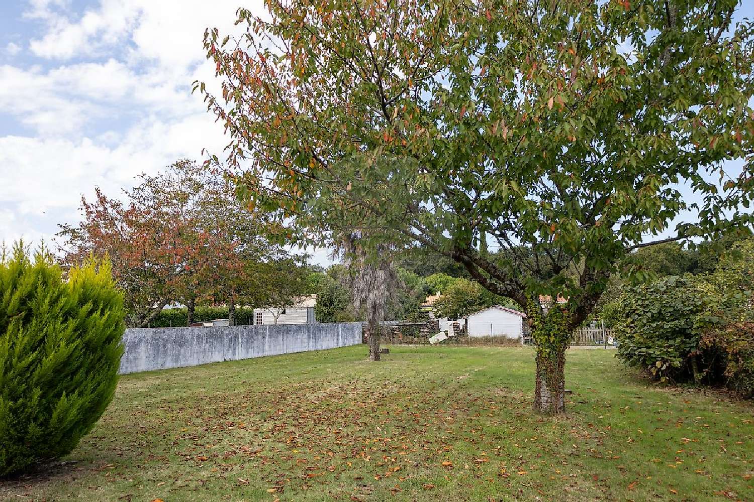  for sale terrain Saint-Palais-sur-Mer Charente-Maritime 2