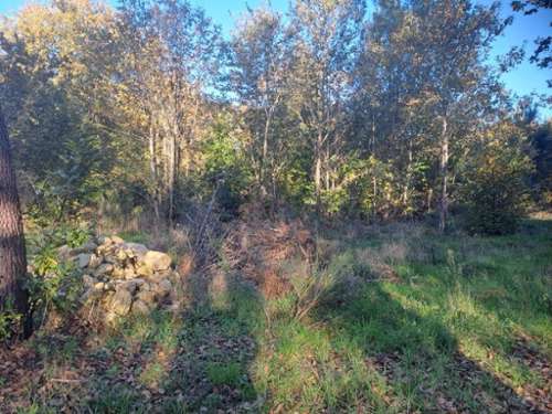 Saint-Sauveur Gironde terrein foto 7154152