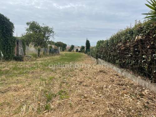 Sainte-Marie-de-Ré Charente-Maritime terreno foto 7164174