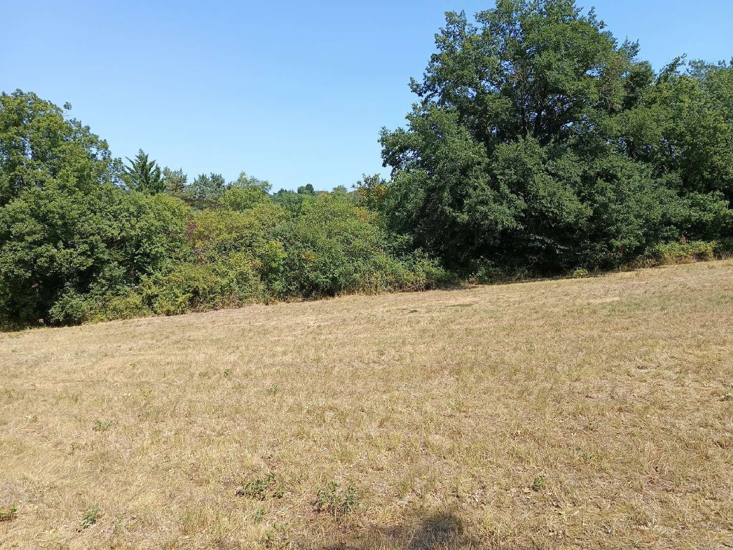  en venta terreno Saix Tarn 1