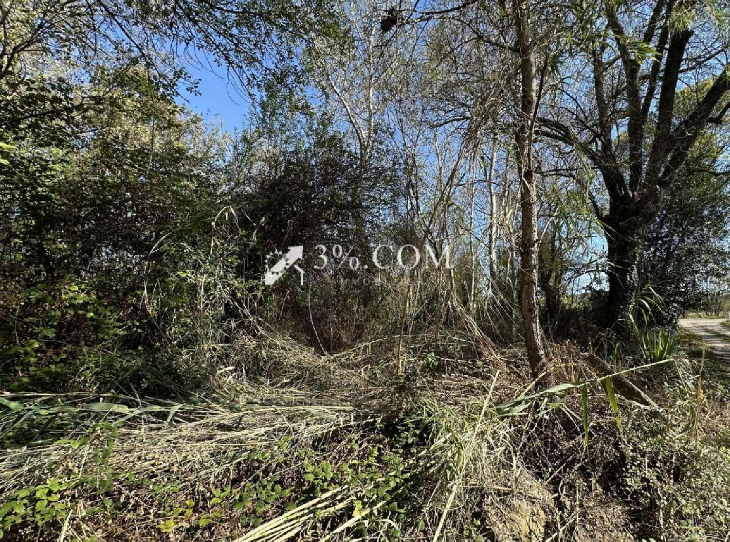  à vendre terrain Salindres Gard 3