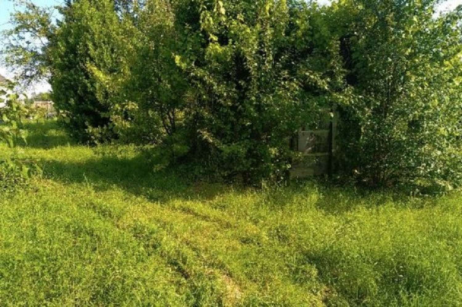 en venta terreno Salins Seine-et-Marne 5