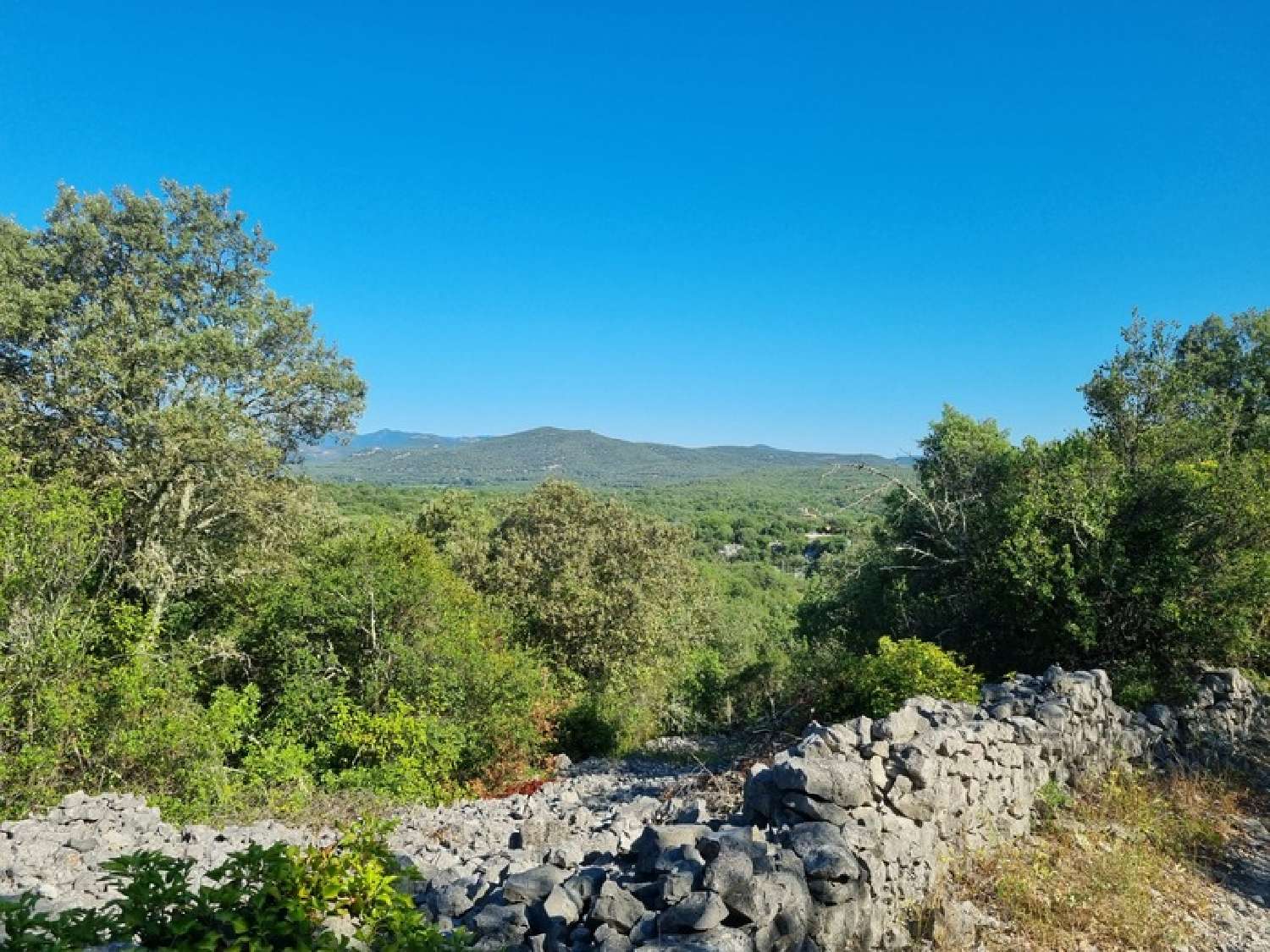  for sale terrain Sauve Gard 2