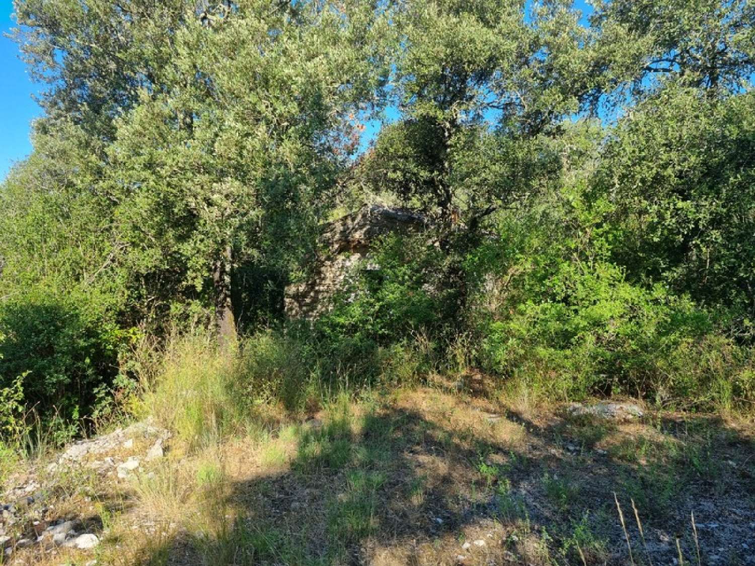  for sale terrain Sauve Gard 3