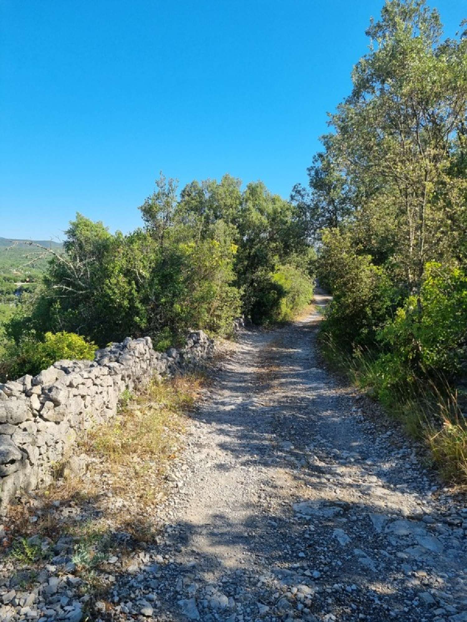  for sale terrain Sauve Gard 4