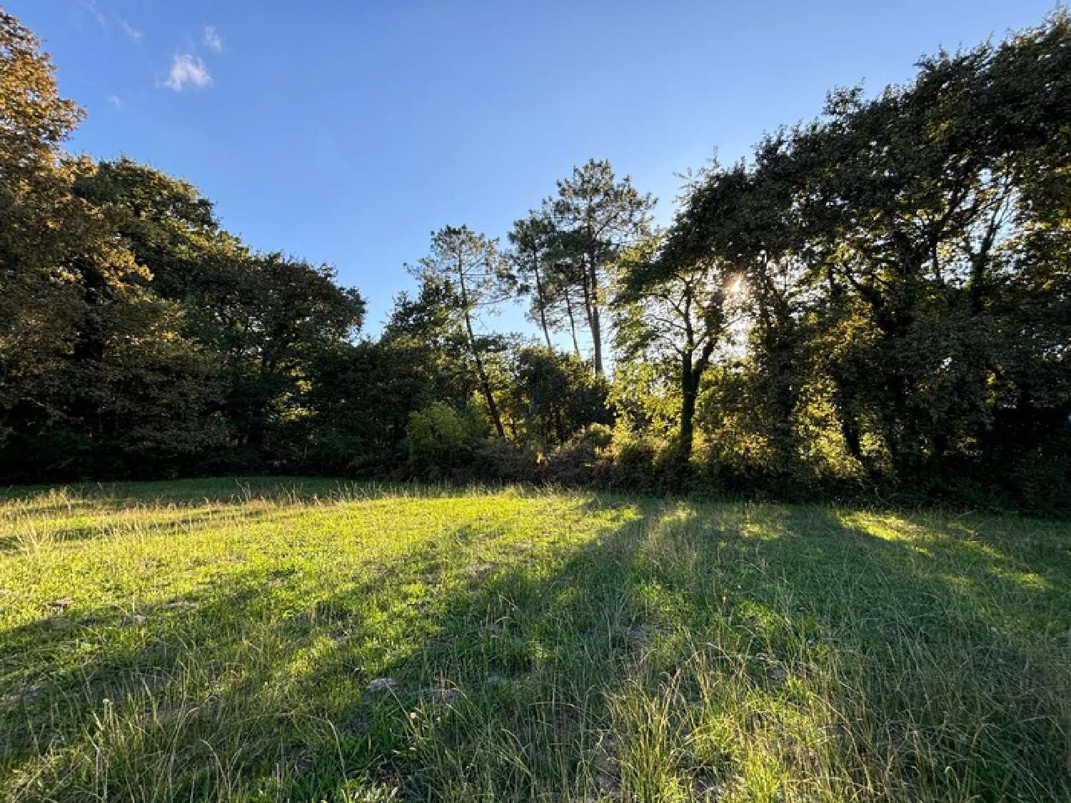  for sale terrain Soustons Landes 5