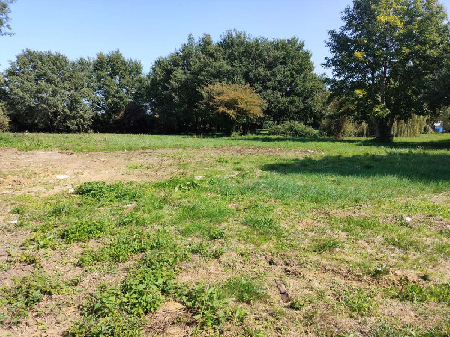  for sale terrain Tesson Charente-Maritime 2