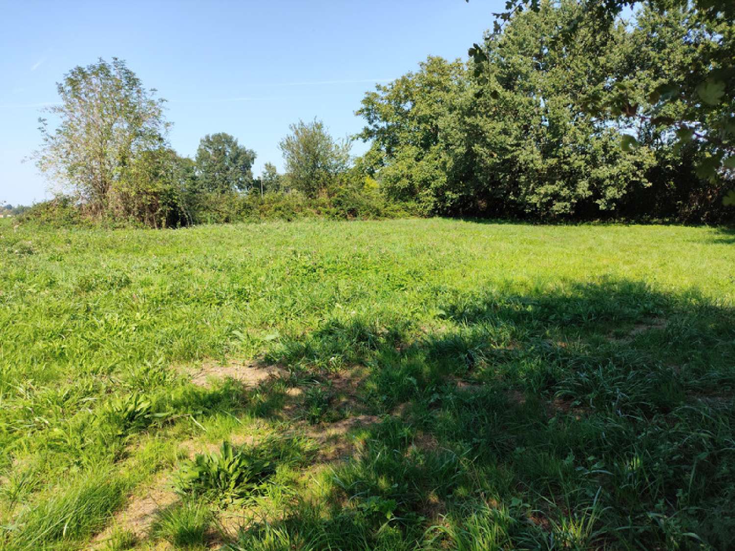  for sale terrain Tesson Charente-Maritime 7