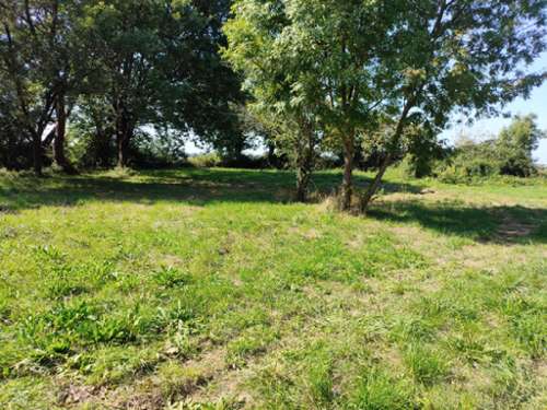Tesson Charente-Maritime terrain foto 7149833
