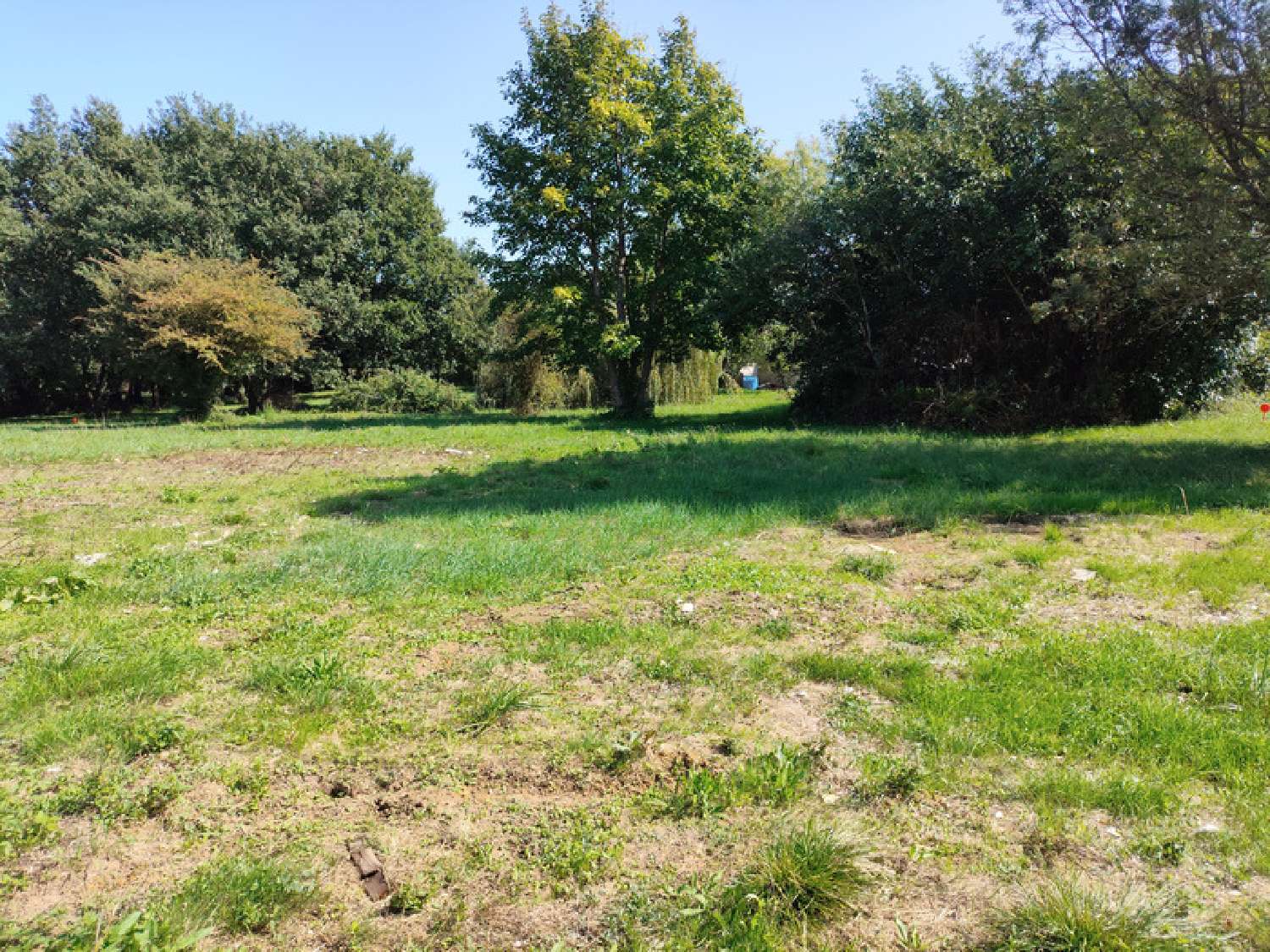  for sale terrain Tesson Charente-Maritime 6