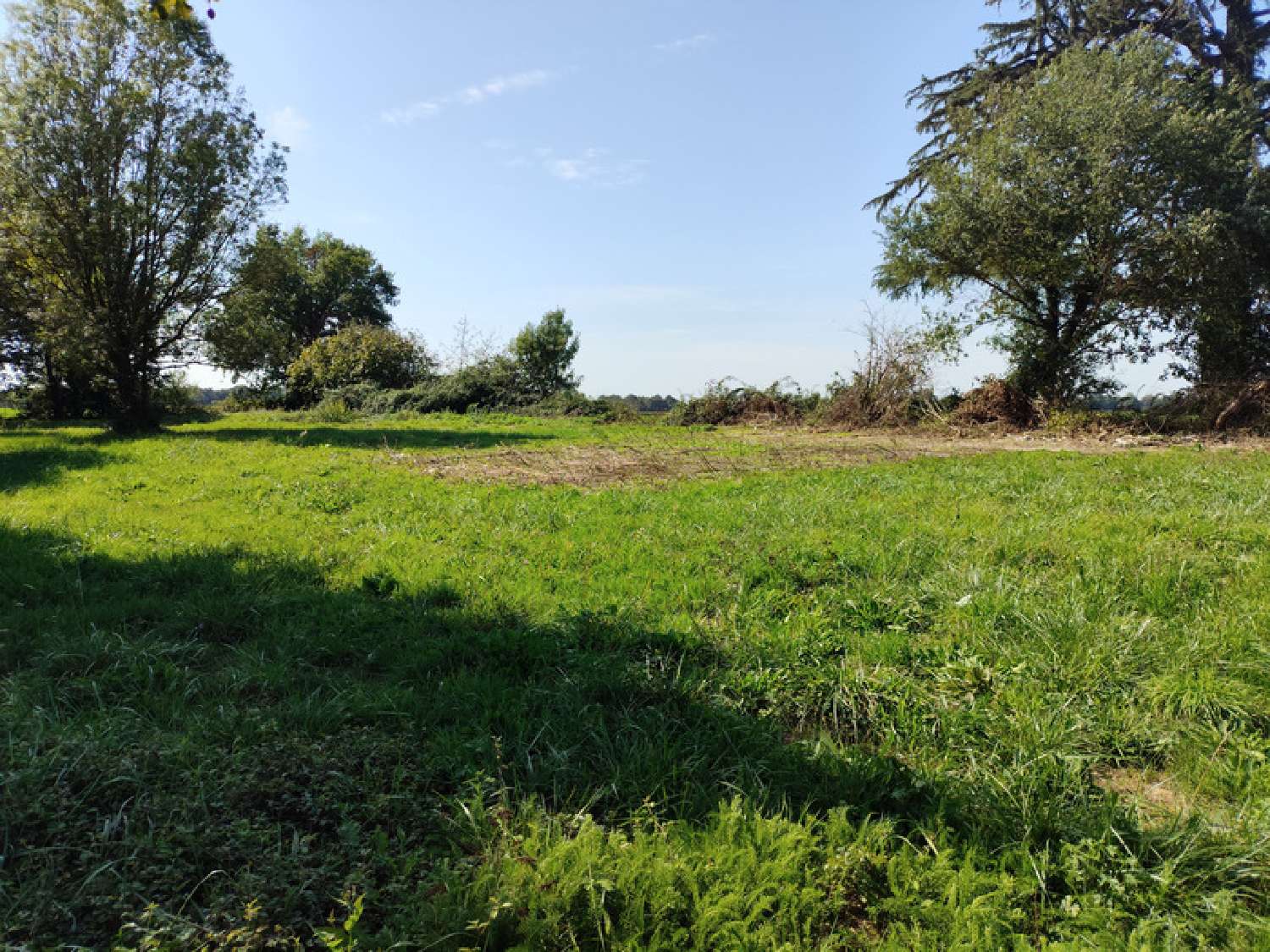  for sale terrain Tesson Charente-Maritime 7