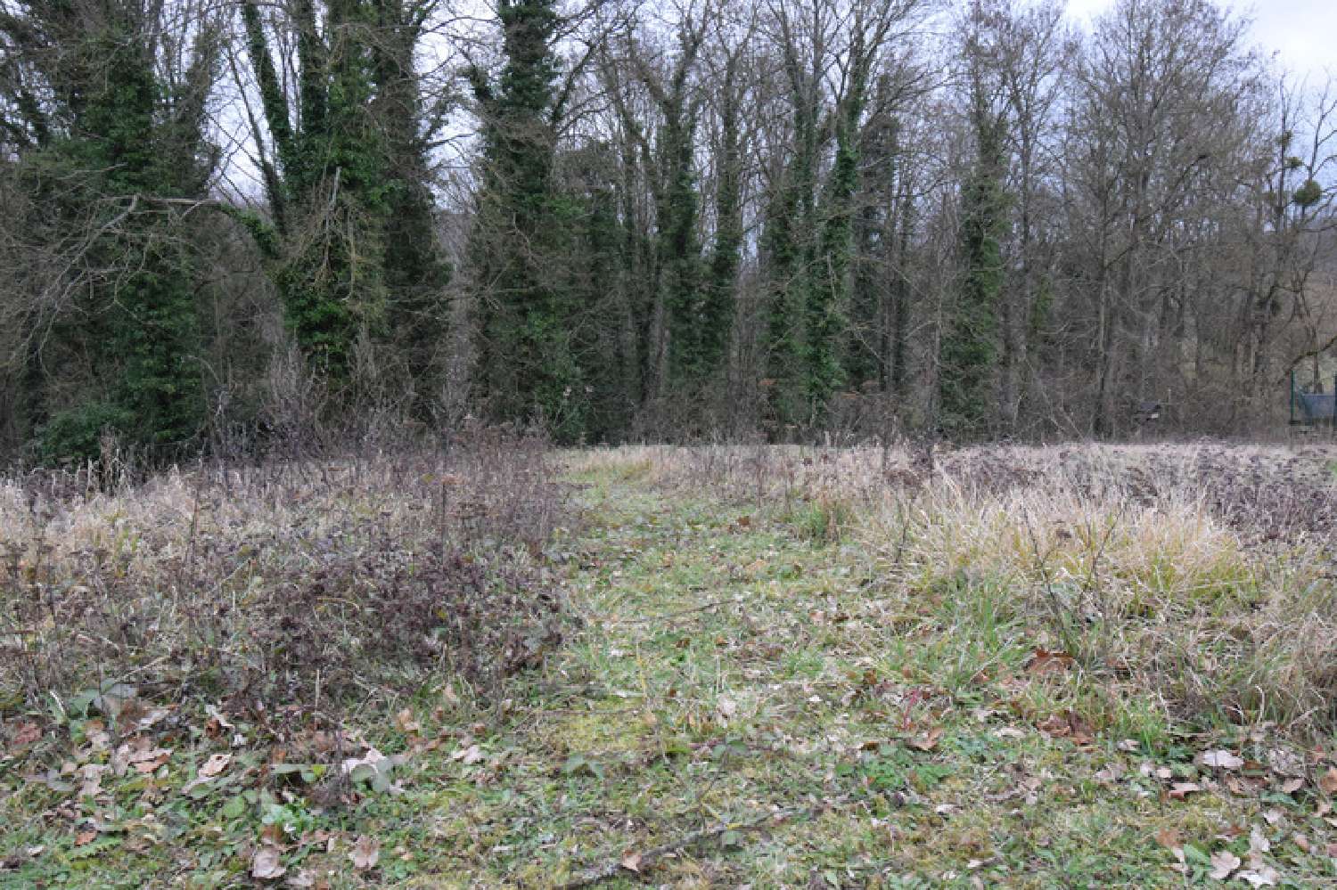  kaufen Grundstück Torcy-en-Valois Aisne 2