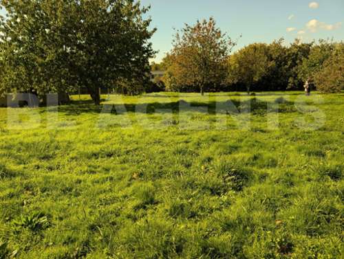 Trangé Sarthe terrain foto 7169334