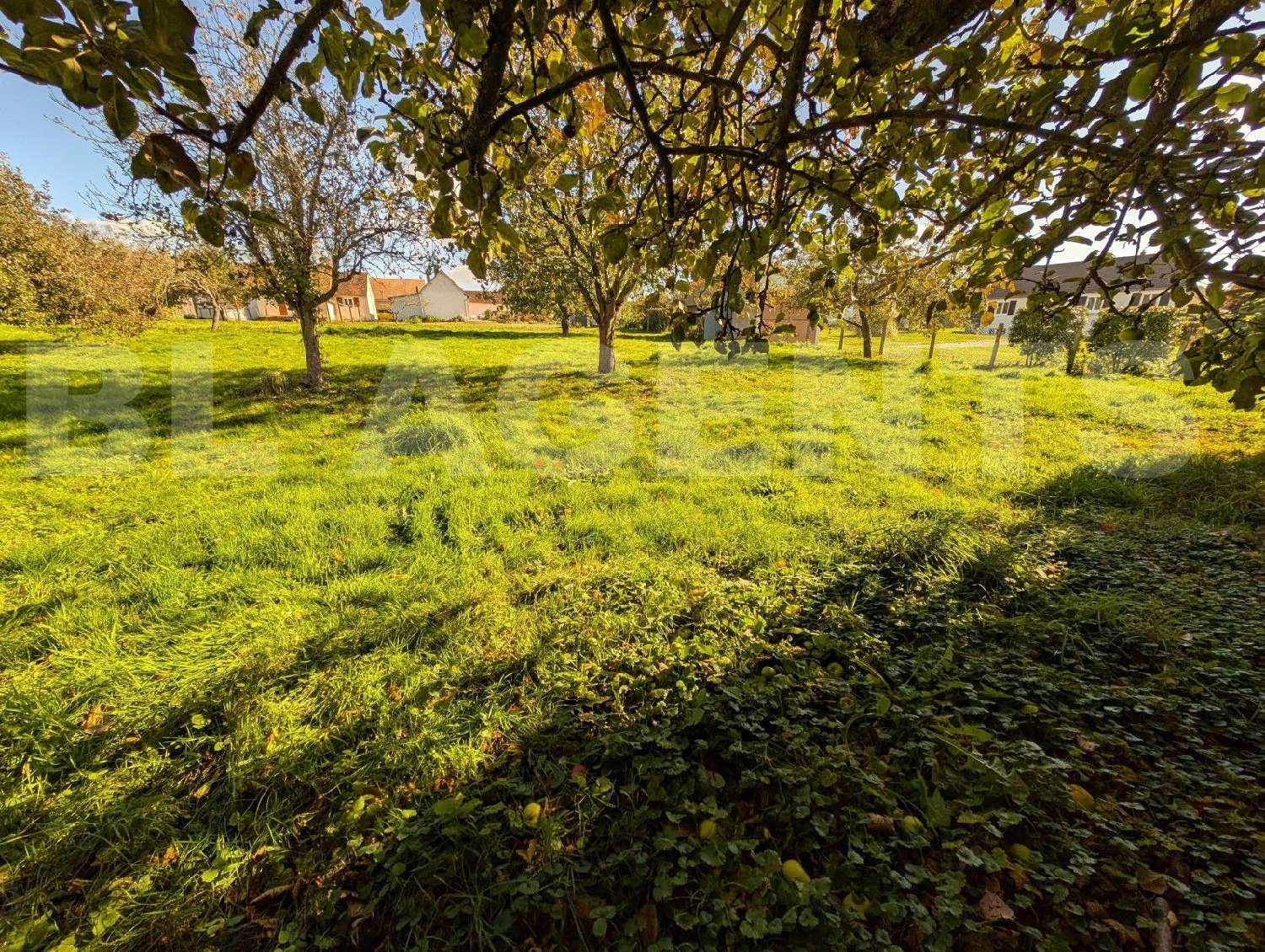 for sale terrain Trangé Sarthe 1