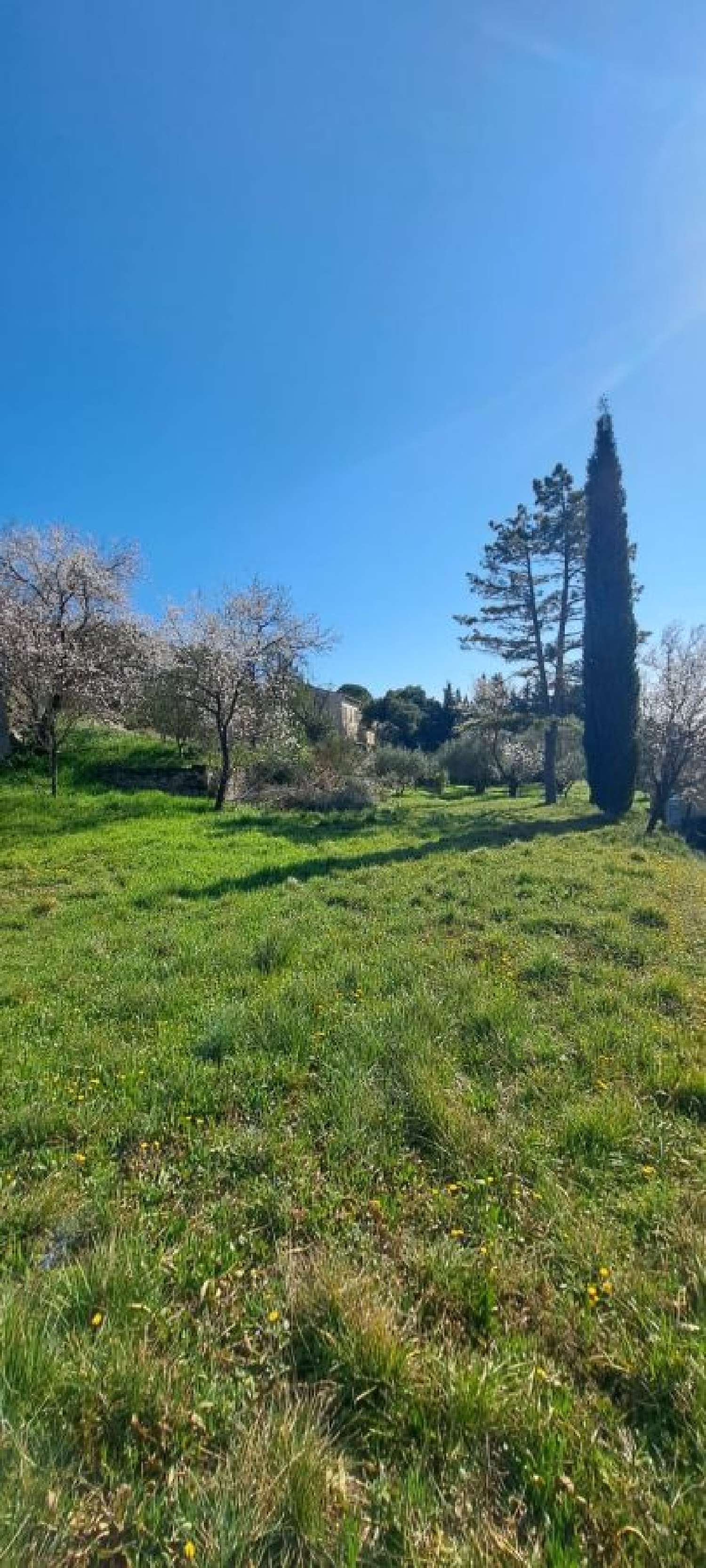 for sale terrain Vacqueyras Vaucluse 2