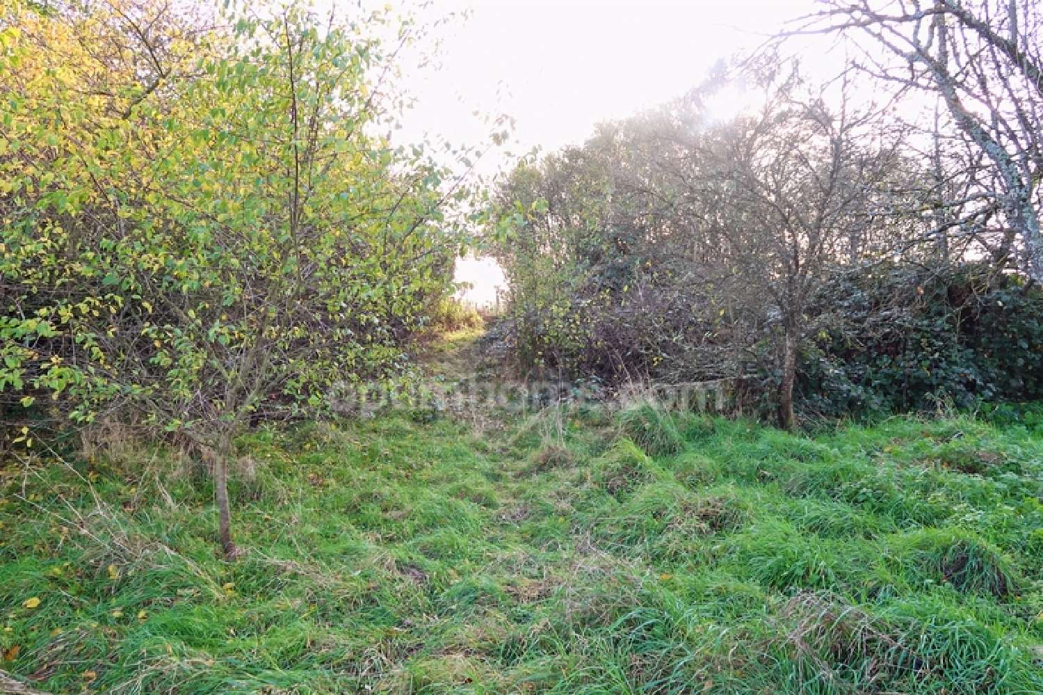  en venta terreno Velaine-sous-Amance Meurthe-et-Moselle 1